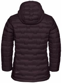 Пуховик Jack Wolfskin Passamani down hoody w rds модель A61833_I0116 Фото