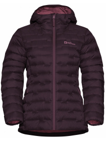 Пуховик Jack Wolfskin Passamani down hoody w rds модель A61833_I0116 Фото