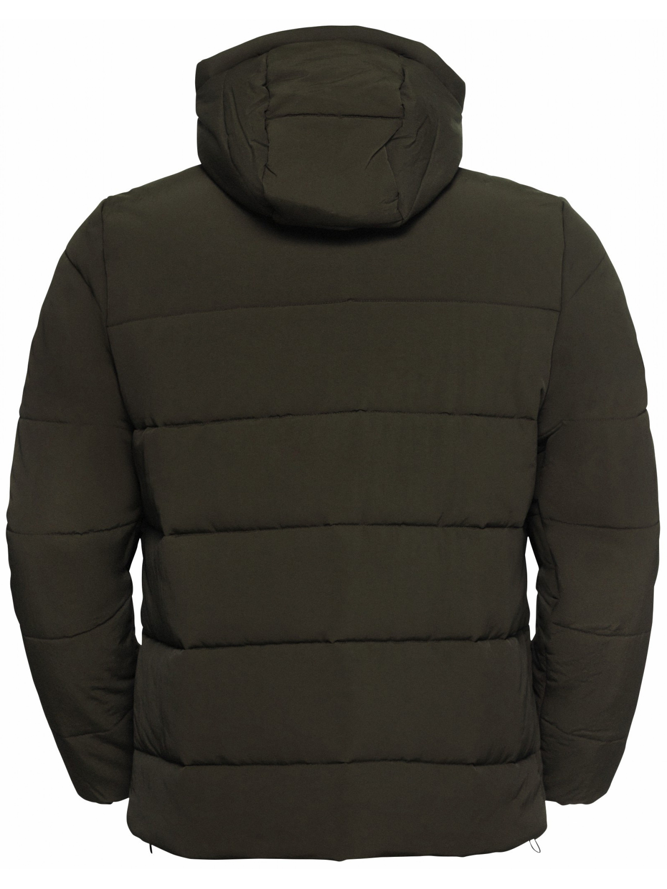 Куртки и дубленки Jack Wolfskin Northern lite hooded jkt m модель A65023_E0205 Фото