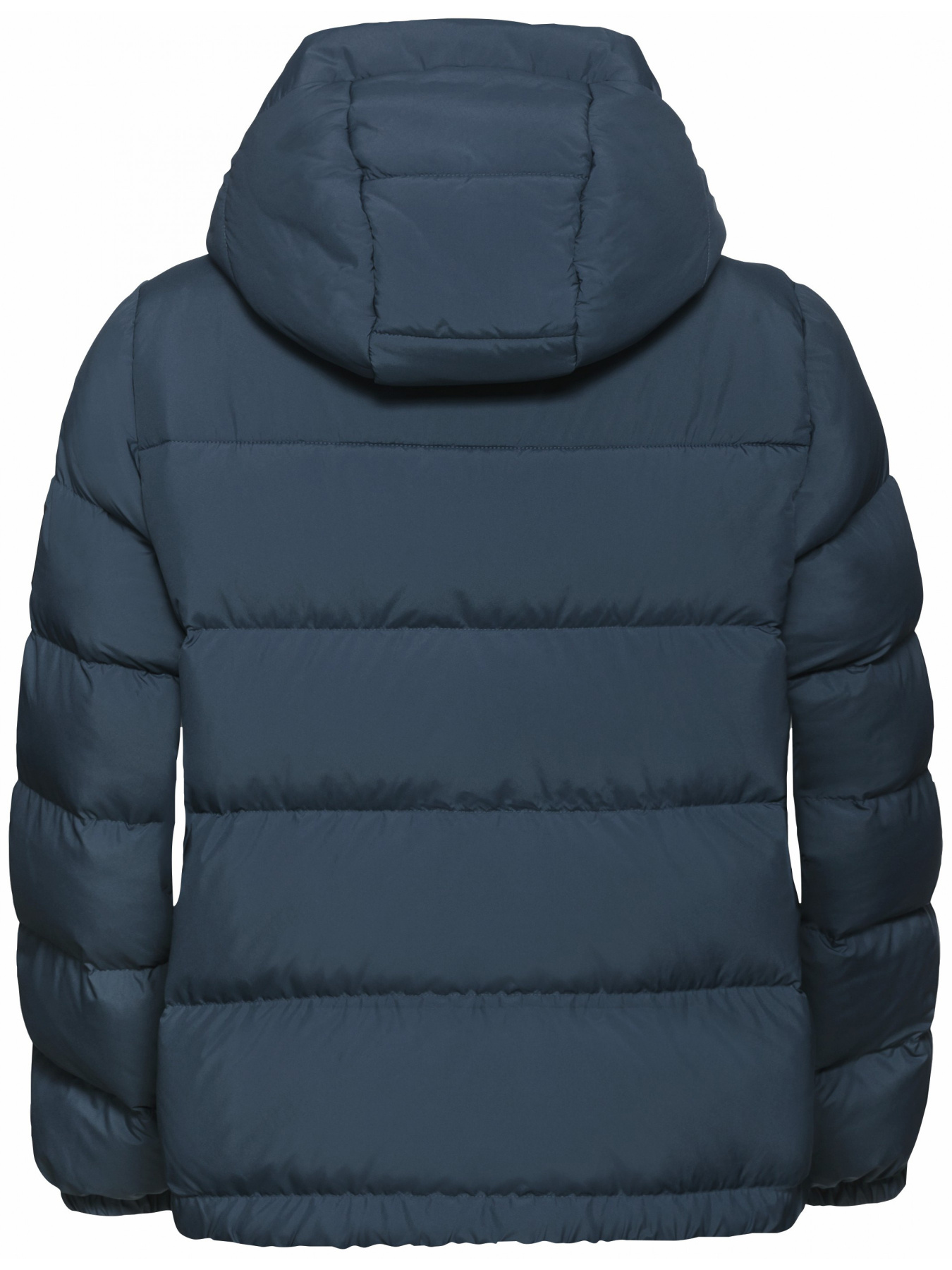 Пуховик Jack Wolfskin Frozen palace jkt w rds модель A65097_C0539 Фото