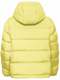 Пуховик Jack Wolfskin Frozen palace jkt w rds модель A65097_M0064 Фото