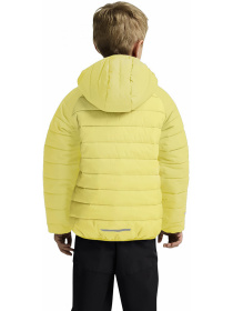 Зимняя куртка Jack Wolfskin New zenon jacket k модель A65455_M0064 Фото