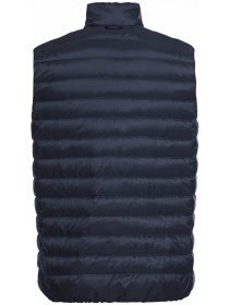 Утепленный жилет Jack Wolfskin Pilvi down vest m rds модель 1207711_C0412 Утепленный жилет Jack Wolfskin Pilvi down vest m rds модель 1207711_C0412 Фото