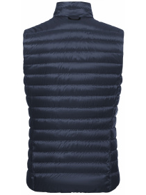 Жилет с утеплителем Jack Wolfskin Pilvi down vest w rds модель 1207771_C0412 Фото