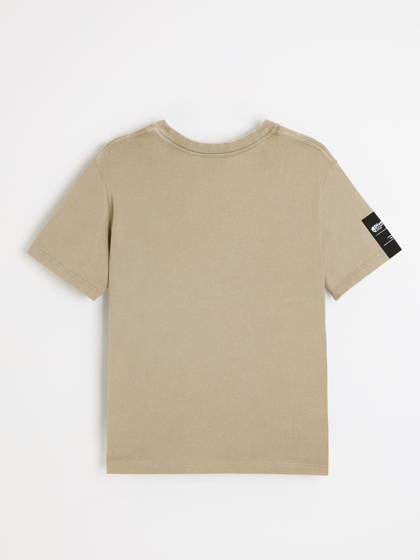 Футболка DIVERSE Dext Sk Wash 03 модель 10047751 Фото