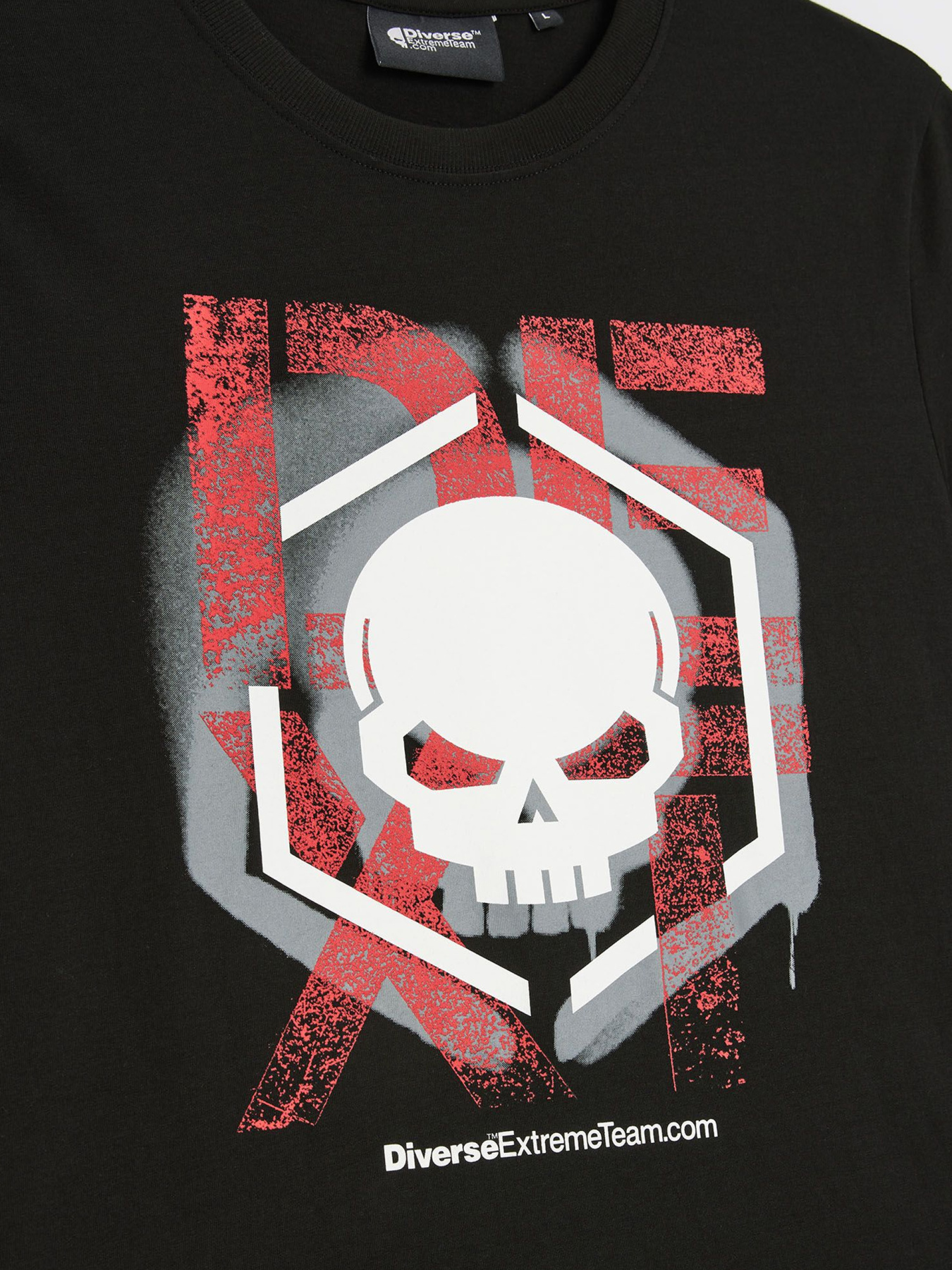 Футболка DIVERSE Dext Sk 02 модель 10047753 Фото