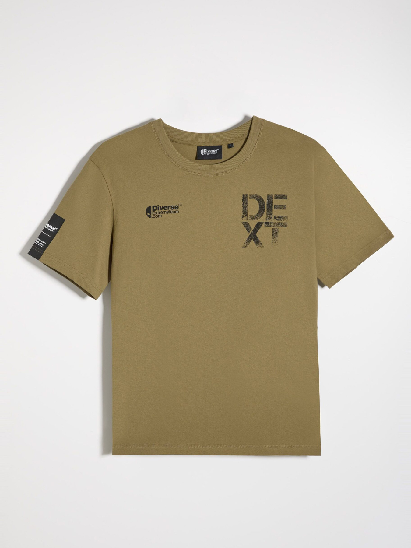 Футболка DIVERSE Dext Logo Sk модель 10047755 Фото