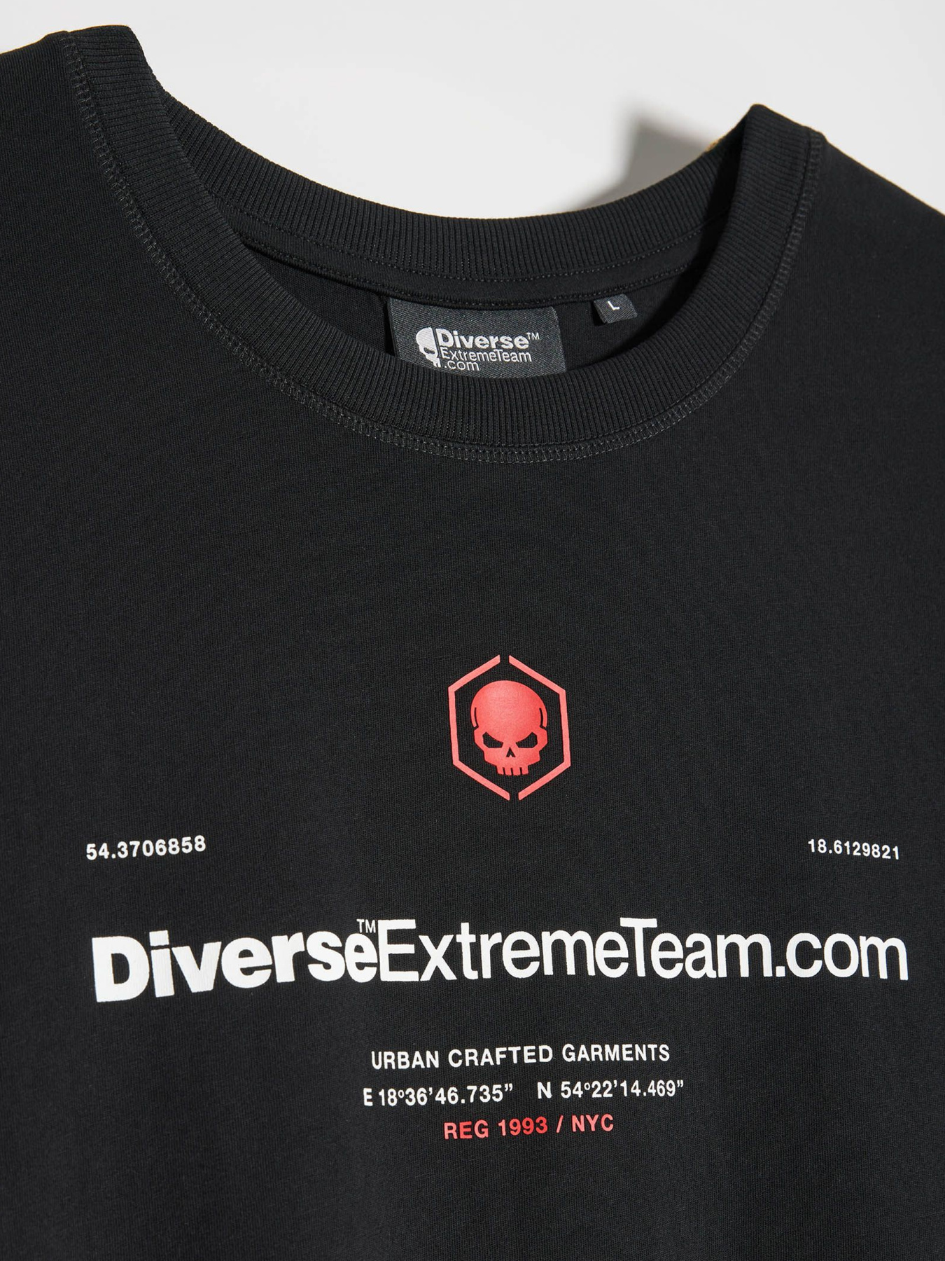 Футболка DIVERSE Dext Logo 02 модель 10047760 Фото