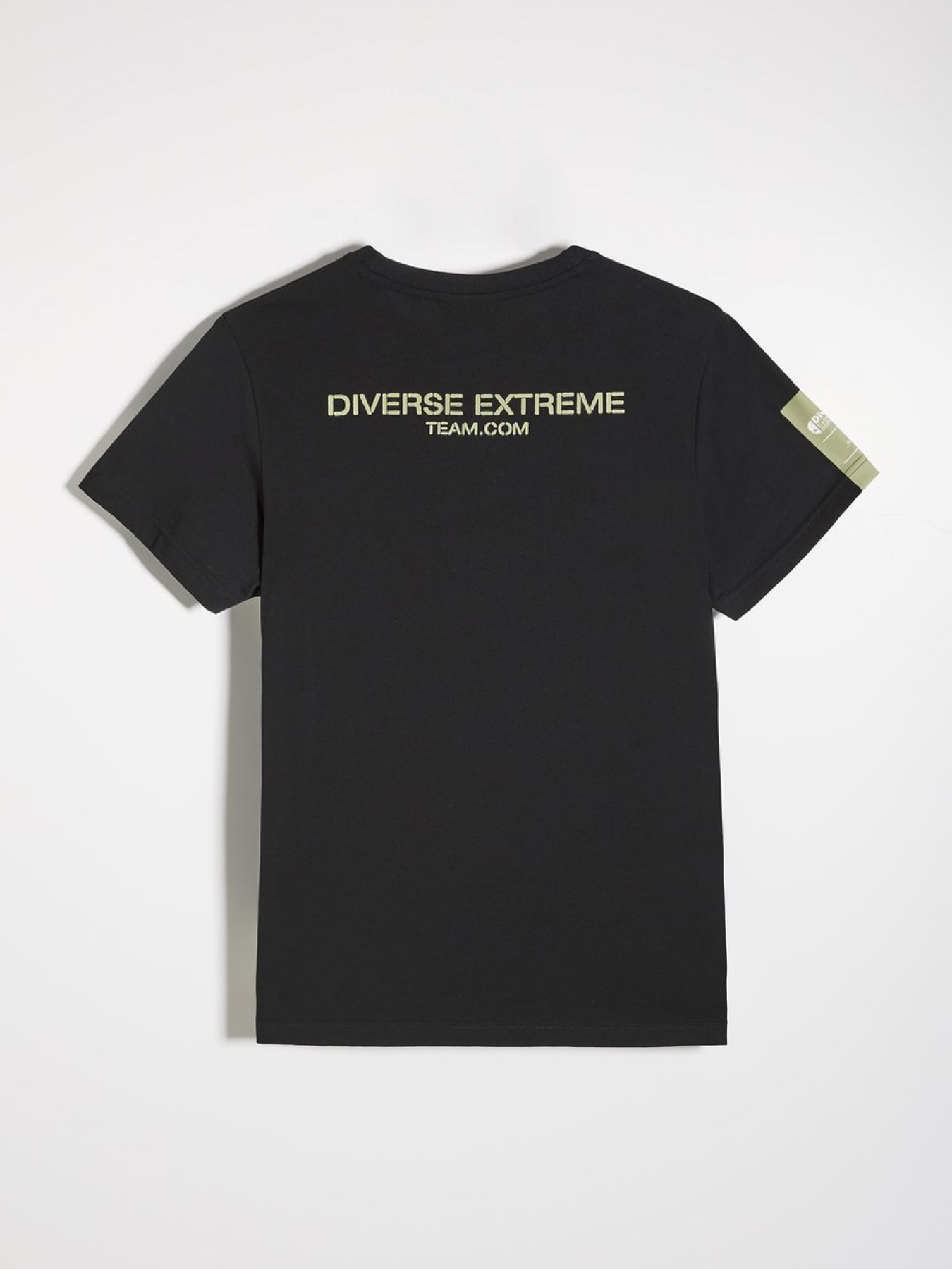 Футболка DIVERSE Dext Camo Sk 01 модель 10047761 Фото