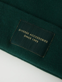 Шапка DIVERSE Lidi V модель 10043120 Фото