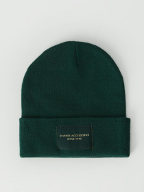 Шапка DIVERSE Lidi V модель 10043120 Фото