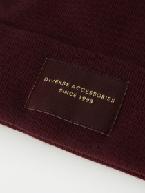 Шапка DIVERSE Lidi V модель 10043120 Фото
