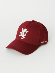 Кепка DIVERSE Gryffin модель 10043771 Фото