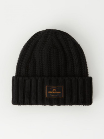 Шапка DIVERSE Cltn Pilsen Vi модель 10045894 Фото