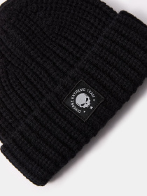 Шапка DIVERSE Dext Sten модель 10047872 Фото