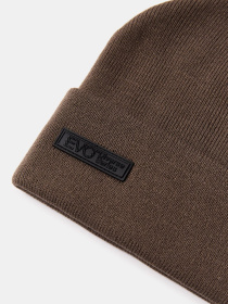 Шапка DIVERSE Evo Biggi 255 модель 10047874 Фото