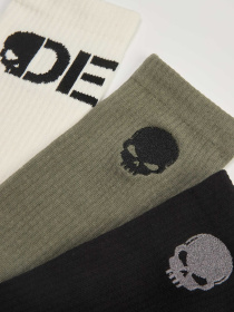 Набор носков DIVERSE Dext Skarp 3p 255 модель 10047895 Фото