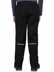 Лыжные штаны Jack Wolfskin модель 1608092_6000 Фото