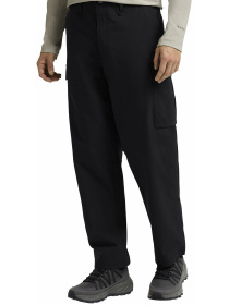 Карго Jack Wolfskin модель A65123_6000 Фото