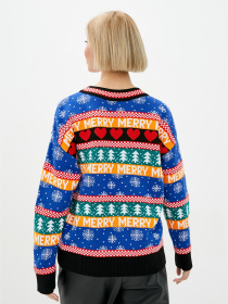 Джемпер Sewel модель JW879510703 Фото