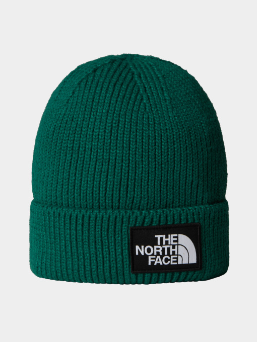 Шапки и кепки The North Face модель NF0A8CHENL11 Фото