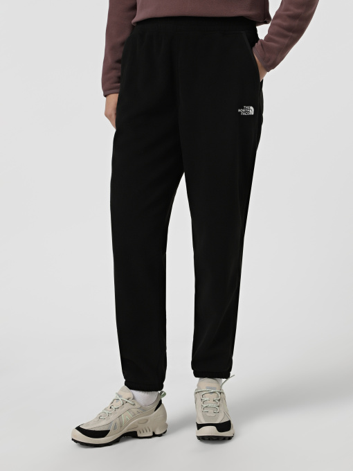 Брюки The North Face модель NF0A8DQRJK31 Фото