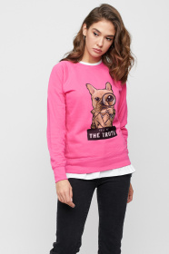 Свитшот YAPPI модель SWP1105 Фото