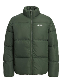 Күрткелер мен тондар JACK & JONES үлгі 12238745_MountainView Фото