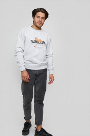 Свитшот YAPPI модель MSWG1319 Фото