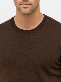 Джемпер Eterna модель ET.-367/25/HOBO.25 Фото