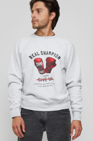 Світшот YAPPI модель MSWG1318 Світшот YAPPI модель MSWG1318 Фото