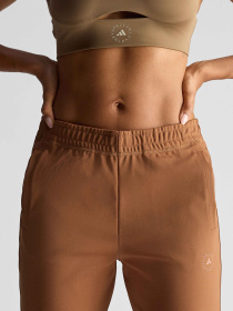 Штаны спортивные Adidas модель JX6774 Фото