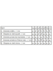 Спортивный костюм Носи своє модель 6410-025-nzhir Фото