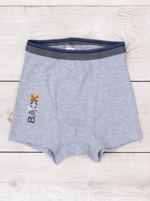 Трусы Носи своє модель 6318-036-33-4-srij-back Фото