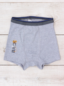 Трусы Носи своє модель 6318-036-33-4-srij-back Фото