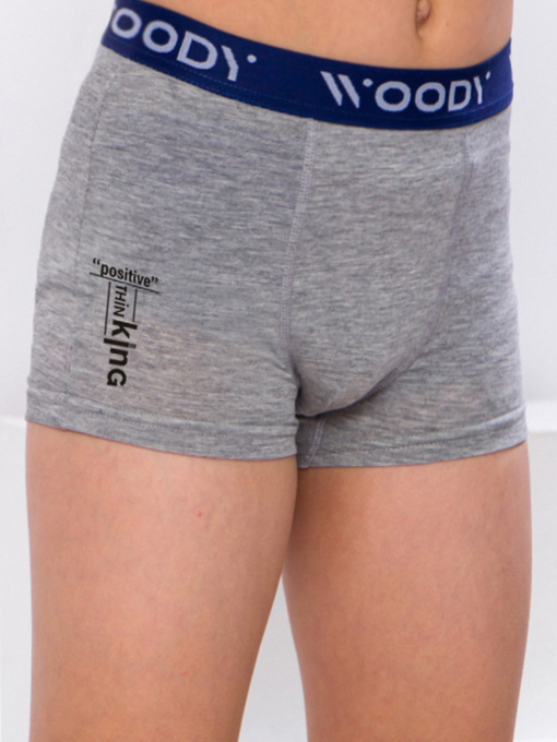 Трусы Носи своє модель 6318-036-33-1-srij-back Фото