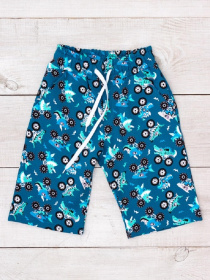 Повседневные шорты Носи своє модель 6208-055-drakonchiki Фото