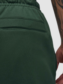 Джоггеры Jordan Flight Fleece модель FV7251-316 Фото