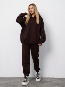 Спортивні штани ISSA Plus модель 14923B_темно-коричневый Фото