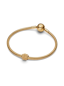 Классические PANDORA модель 764047C00 Фото