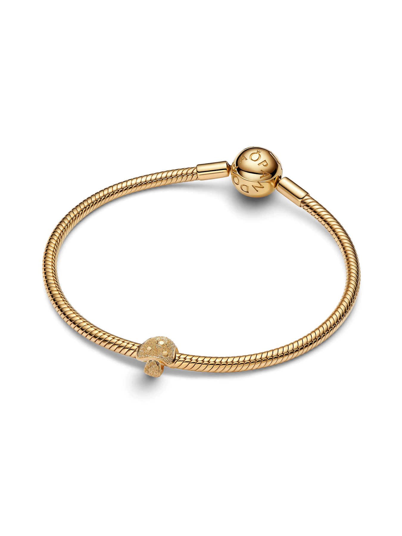 Классические PANDORA модель 764048C00 Фото