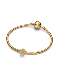 Классические PANDORA модель 764050C00 Фото