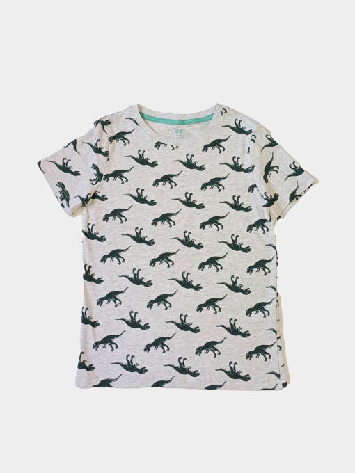 Футболка H&M модель 5442904kwer_Серый Фото