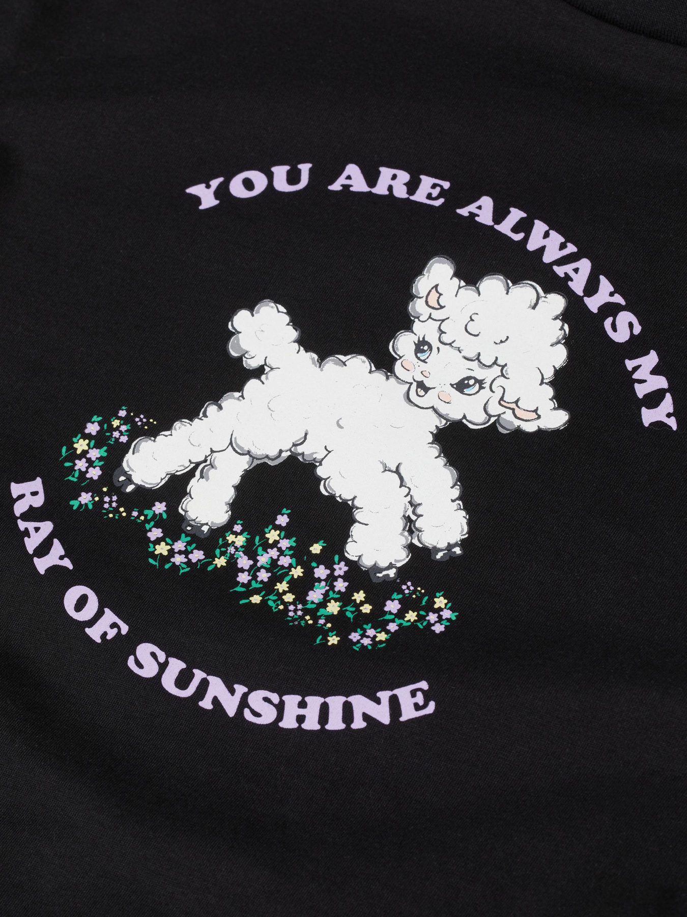 Футболка H&M модель 9507253wer_Черный Футболка H&M модель 9507253wer_Черный Фото