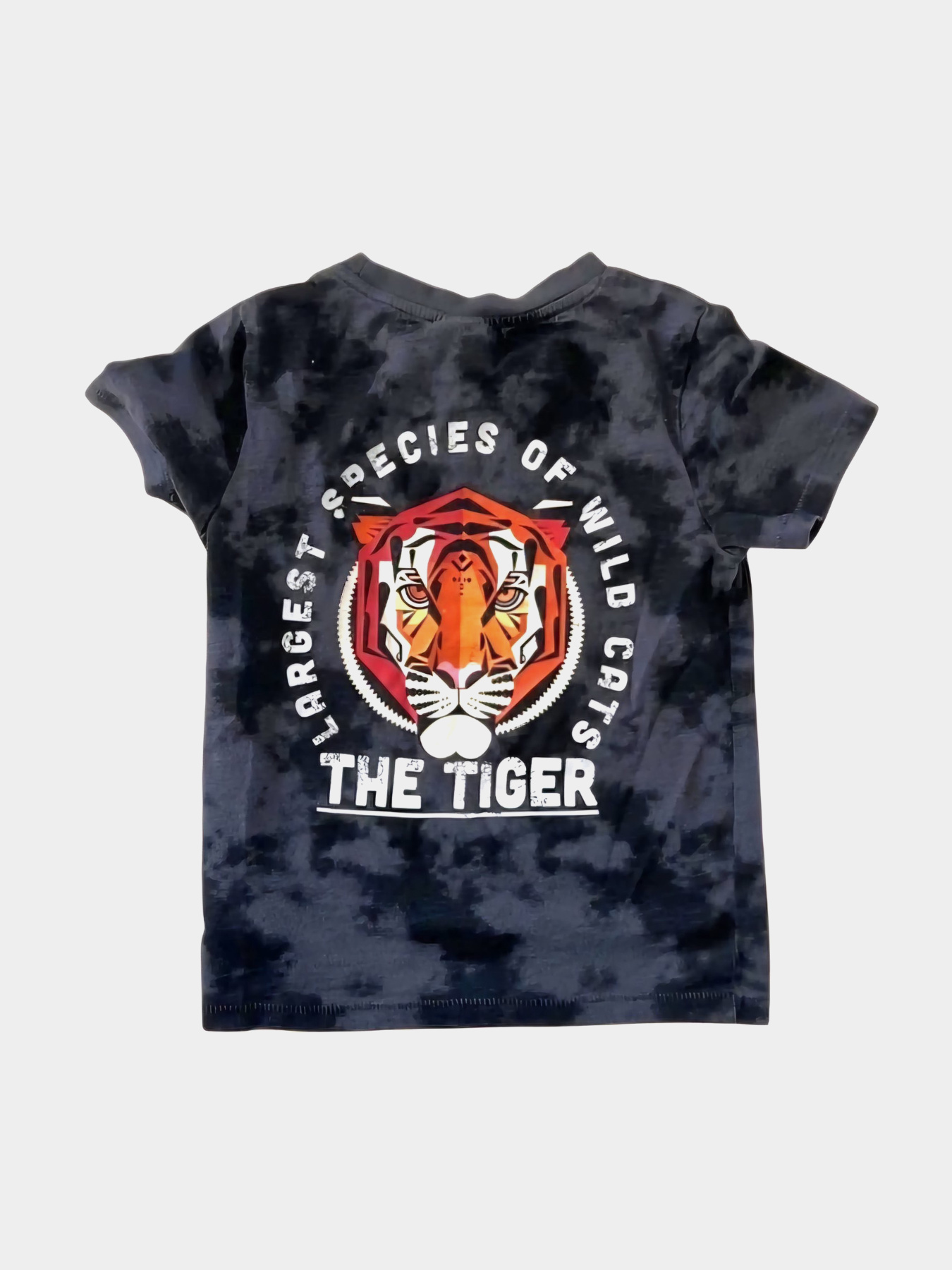 Футболка H&M модель 9683173kwer_Черный Фото