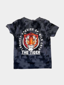 Футболка H&M модель 9683173kwer_Черный Фото