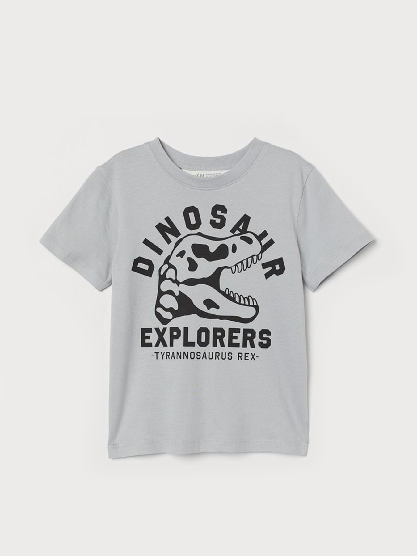 Футболка H&M модель 9343373kwer_Серый Фото