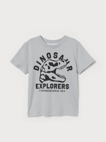 Футболка H&M модель 9343373kwer_Серый Фото