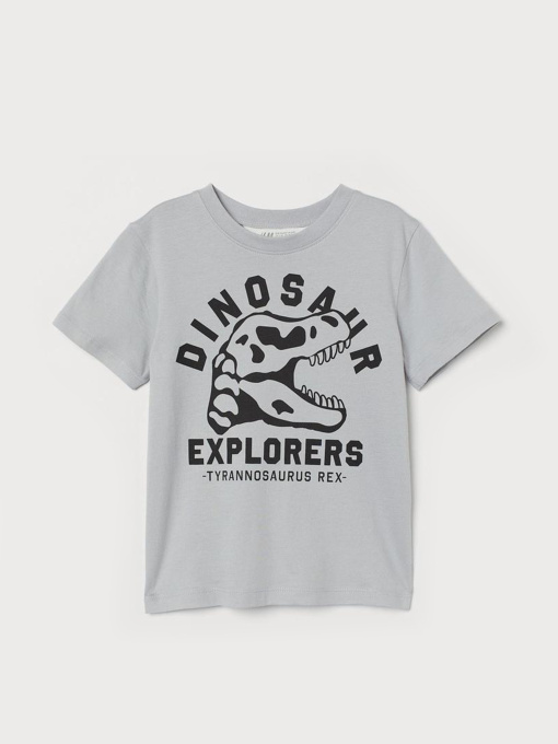 Футболка H&M модель 9343373kwer_Серый Фото