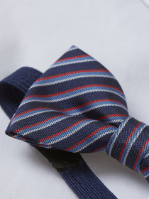 Бабочка H&M модель 79434 Фото